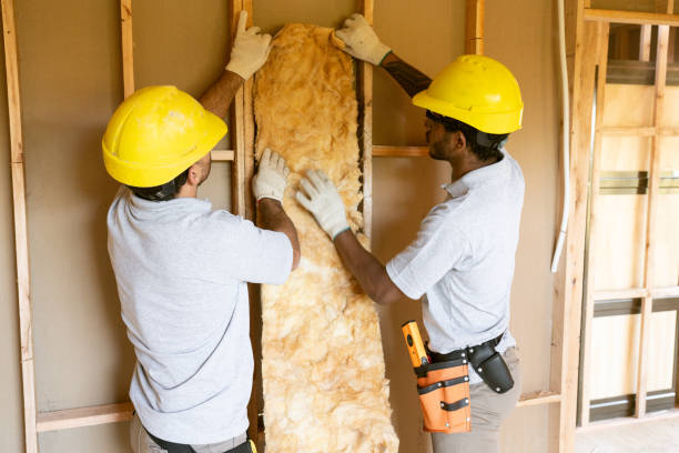 Best Insulation for New Construction  in New Cassel, NY